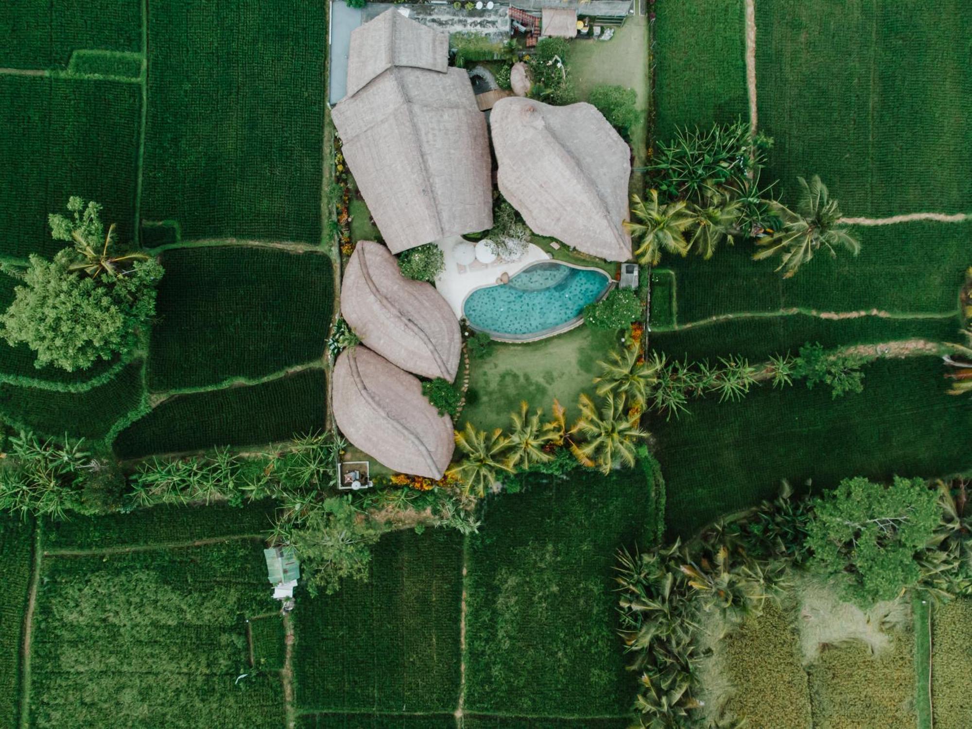 Villa Omah Padi Ubud Exterior foto